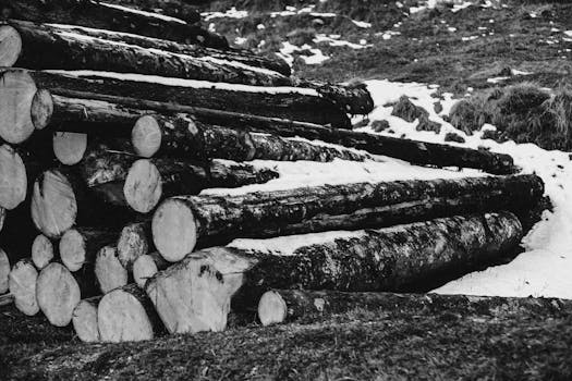 rural compost pile with diverse materials